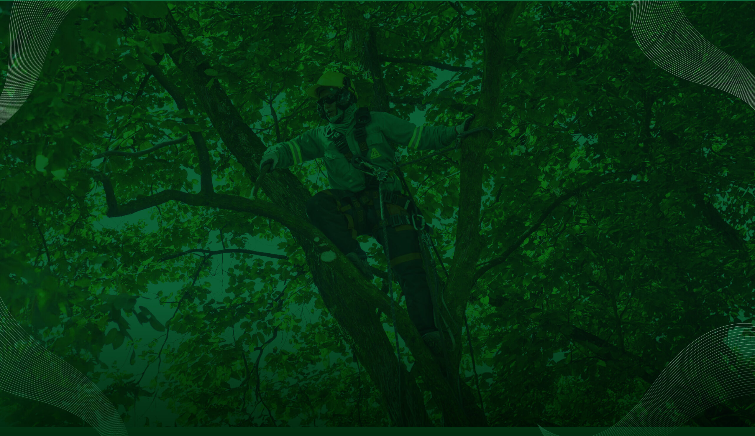 thumbnails-2026_poda-de-arboles